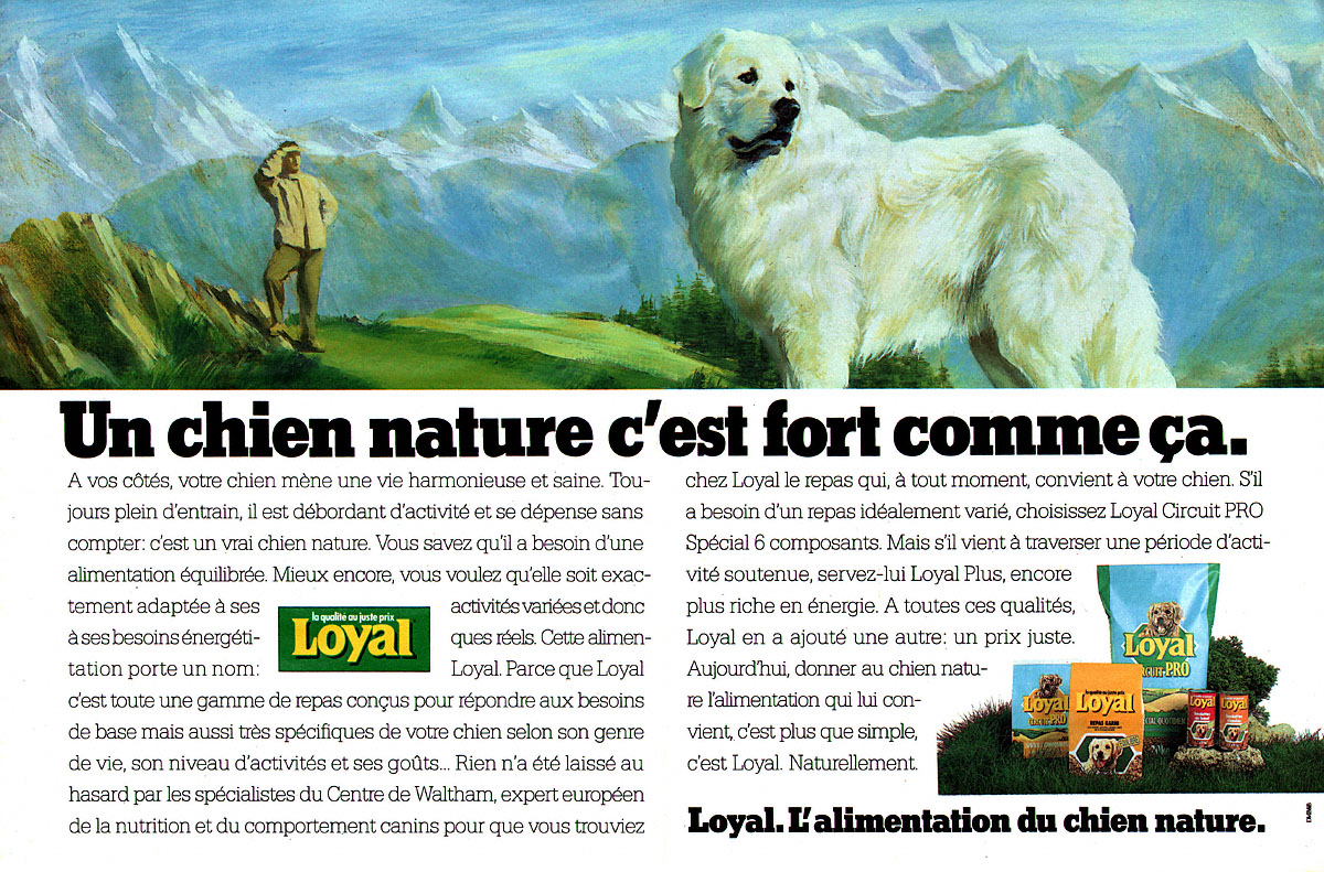 Marque Loyal 1989