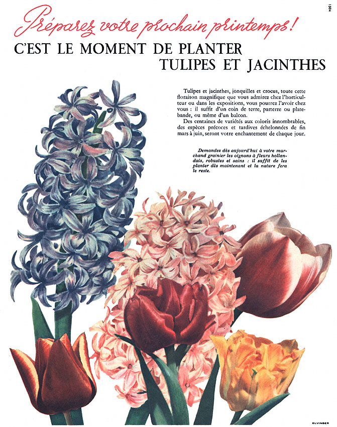 Publicit� Hollande 1949