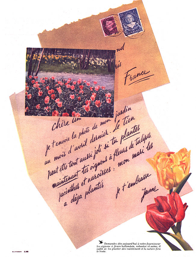 Publicit� Hollande 1950