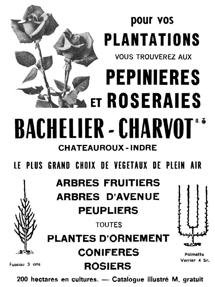 Marque Divers 1965