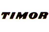 Logo Timor
